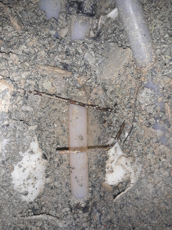 3034632970_nCpEBTYG_5e32dc847a27f1b5225d94c8ceaa3dfd542968b5.jpg 이미지크게보기