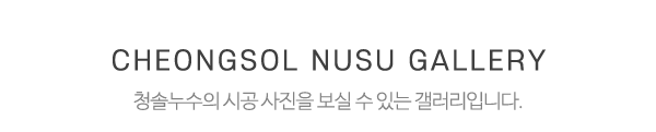 청솔누수_시공사진_제목